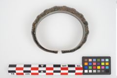 Foto von Bronzemelonenarmreif (NHMW-PRAE-026143)